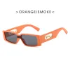 Orange Frame Gray Slice