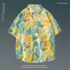 1123 Yellow