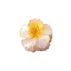 Pearlescent-Yellow