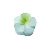 Pearlescent-Turquoise