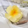 Bright-Yellow