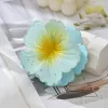 Bright-Blue