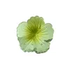 Bright Green