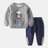 Grey-Tobacco Bear Suit