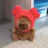 Crab Headgear