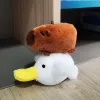 Pelican