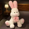 White Bunny Rabbit