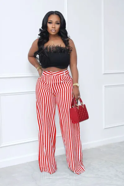 Women Casual Multicolor Stripe Wide Leg Pants
