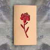 Carnation