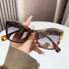 Hawksbill Box Progressive Gray