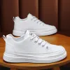 H13 White
