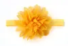 Earth Yellow