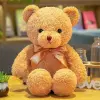 Bow Bear 30Cm