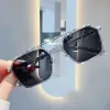 Polarized Color Change [Gray Silver Frame]