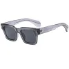 C2 Transparent Gray