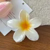 8Cm Frangipani White Yellow Core Color