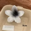 8Cm Frangipani White Black Core Color