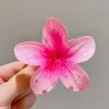 Pink 8Cm Egg Flower Clamp