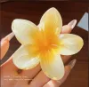 8CM Frangipani Clip-Gradient Yellow