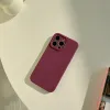Plum Color