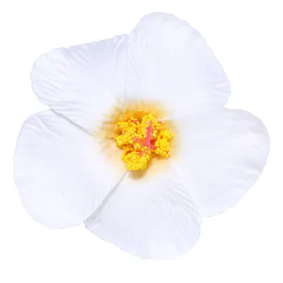 Women Fashion Elegant Solid Color Dried Flower Hairpin BB Clip Natural Style