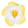(With Black Clip) Gradient Yellow