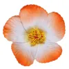 Gradient Orange (With Black Clip)