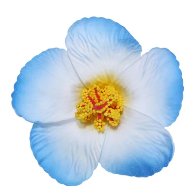 Women Fashion Elegant Solid Color Dried Flower Hairpin BB Clip Natural Style