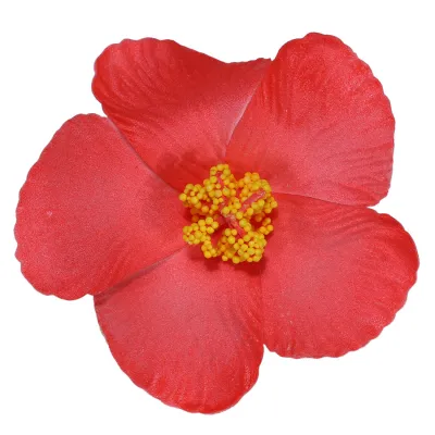 Women Fashion Elegant Solid Color Dried Flower Hairpin BB Clip Natural Style