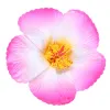 Gradient Rose (With Black Clip)