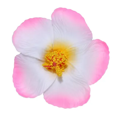 Women Fashion Elegant Solid Color Dried Flower Hairpin BB Clip Natural Style