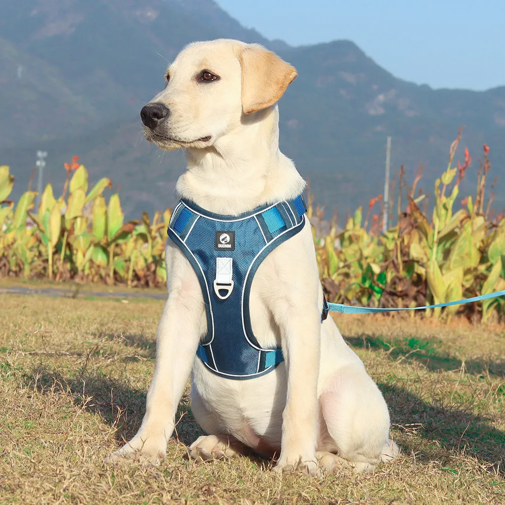 Fashion Chest Strap Reflective Explosion-Proof Dog Traction Rope Polyester Adjustable for S-XL
