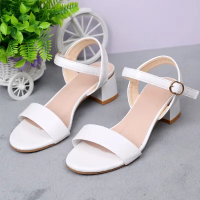 Plus Size Solid Color Chunky Heel Sandals for Women