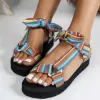 Multicolor