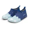 Bear Claw Blue