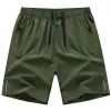 Army Green 531