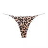Leopard 3