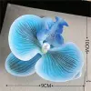 Sky Blue Orchid
