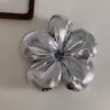 Silver Bright Surface