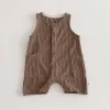 Brown Stripes