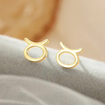 Women Fashion Simple 925 Silver Constellation Zodiac Earrings