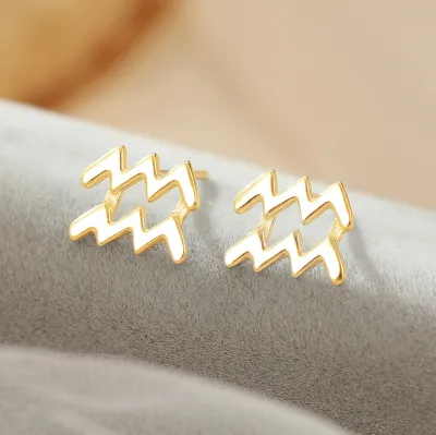 Women Fashion Simple 925 Silver Constellation Zodiac Earrings