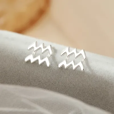 Women Fashion Simple 925 Silver Constellation Zodiac Earrings