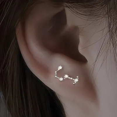 Women Fashion Simple 925 Silver Zodiac Constellation Earrings