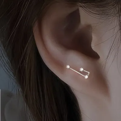 Women Fashion Simple 925 Silver Zodiac Constellation Earrings
