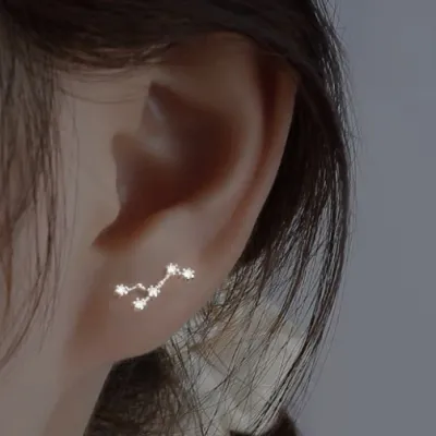 Women Fashion Simple 925 Silver Zodiac Constellation Earrings