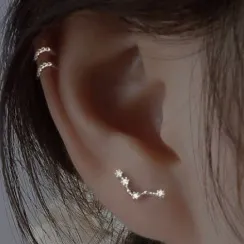 Women Fashion Simple 925 Silver Zodiac Constellation Earrings