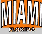 Custom Logo MIAMI FLORIDA Beach Shorts