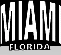 Custom Logo MIAMI FLORIDA Beach Shorts
