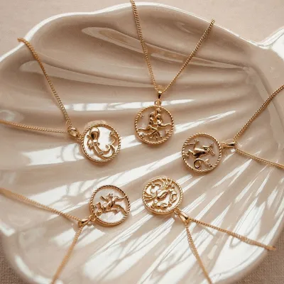 Women Fashion Shell Coin Pendant Titanium Steel Zodiac Necklace